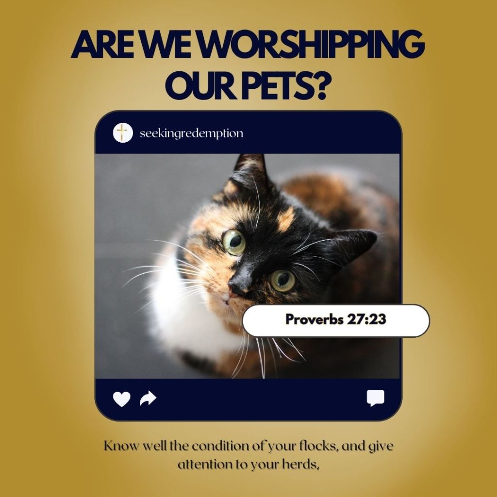 Blog Graphic - Are We Worshipping Our Pets